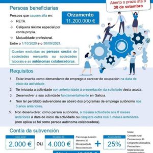 PROGRAMA DE PROMOCIÓN DO EMPREGO AUTÓNOMO